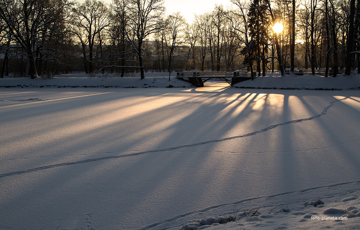 Замерзший пруд