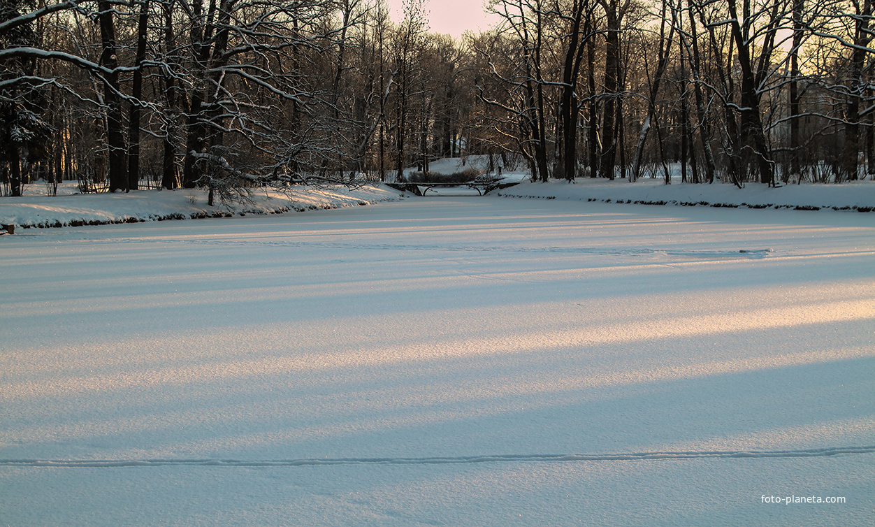 Пруд зимой