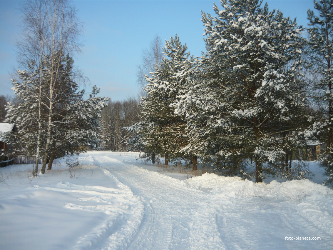 зимняя дорога в Петрополье