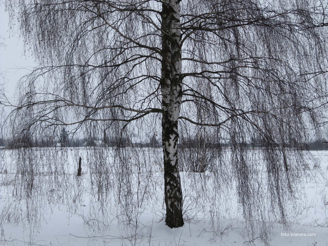 Вдалеке Сутков.