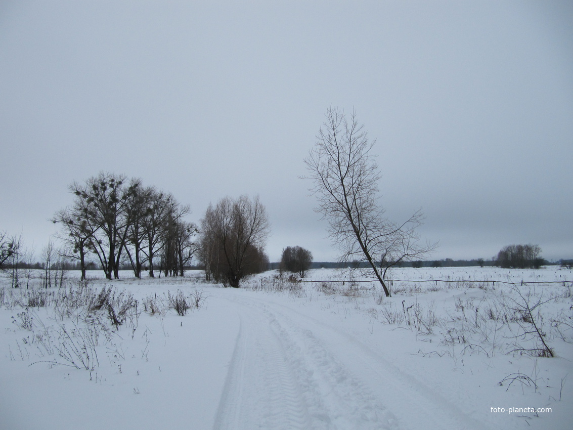 Дорога на Мохов.