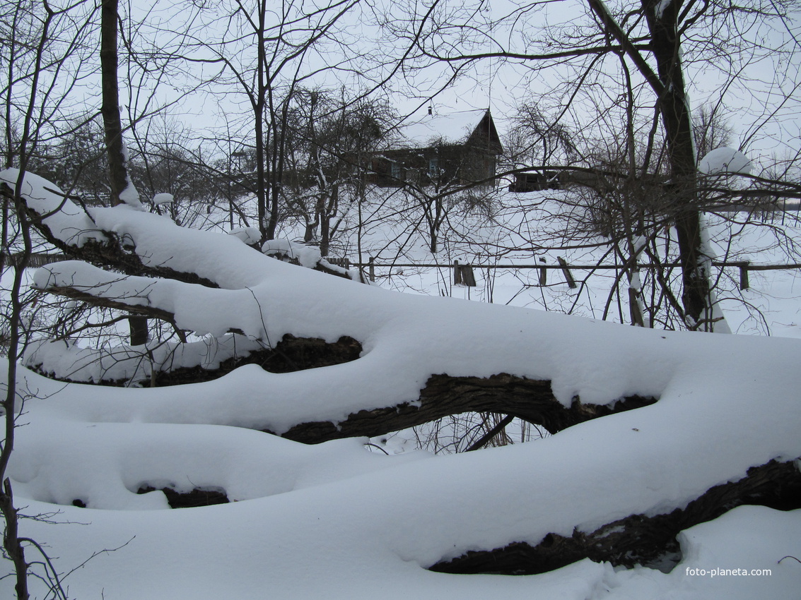 Зимннее одеяло.За детским садом.