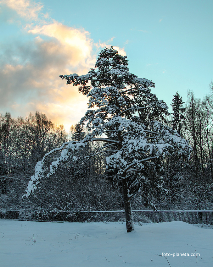 Фермский парк