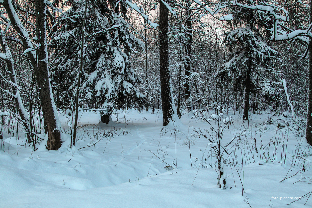 Фермский парк
