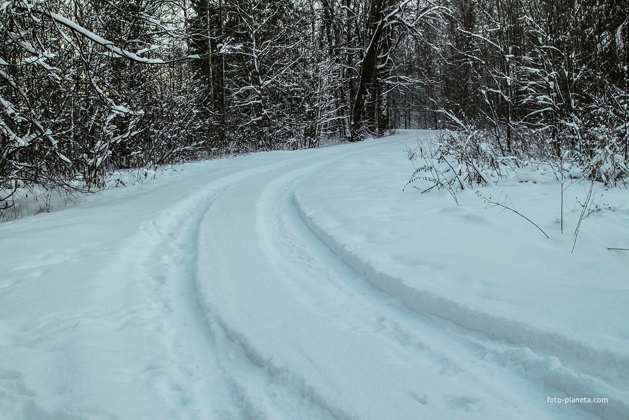 Фермская дорога