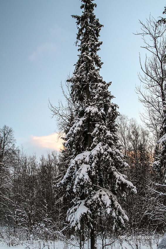 Фермский парк