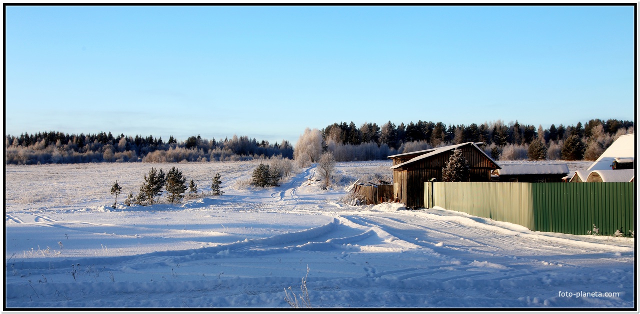 Дорога в лес.