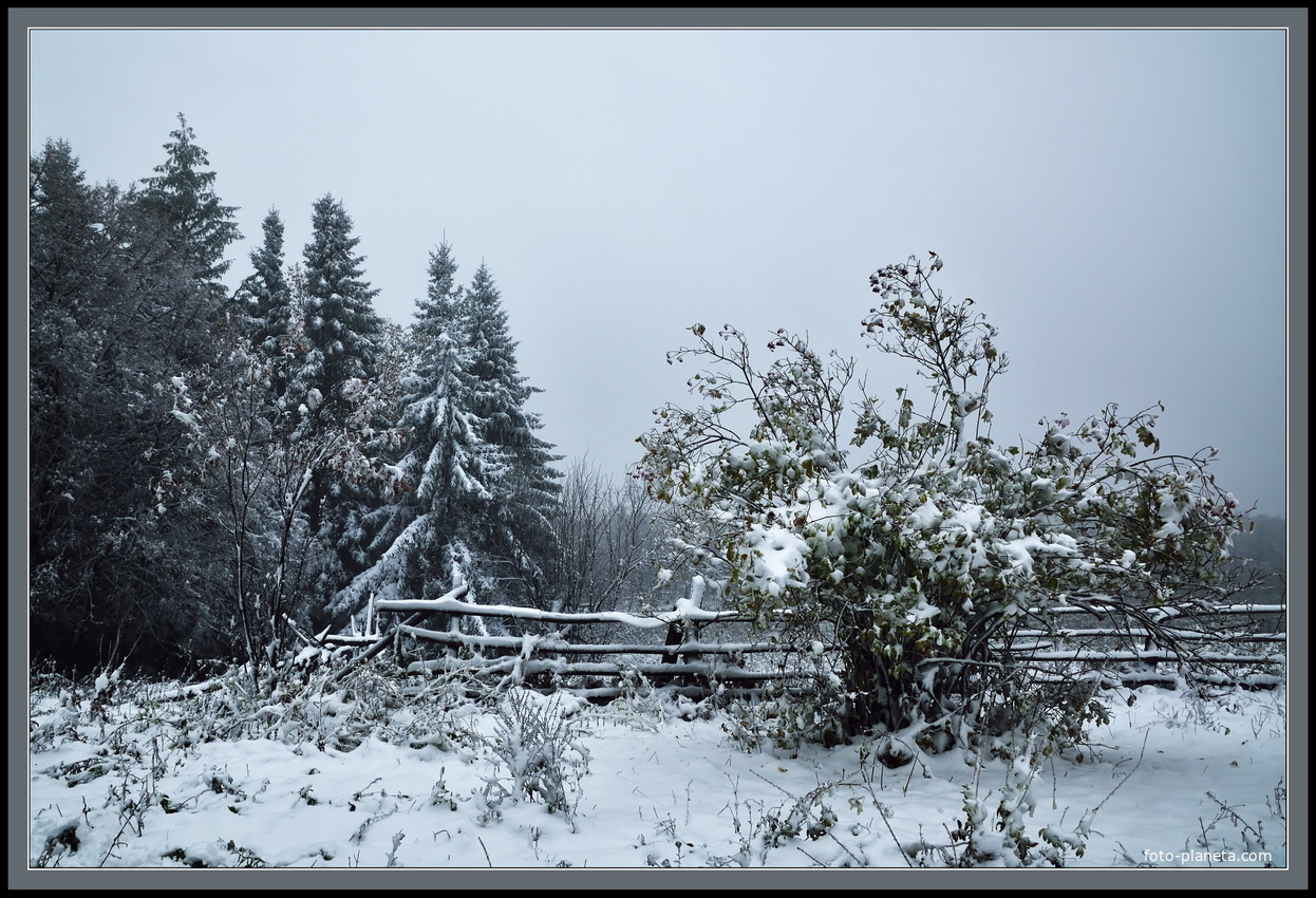 первый снег, 2014 год