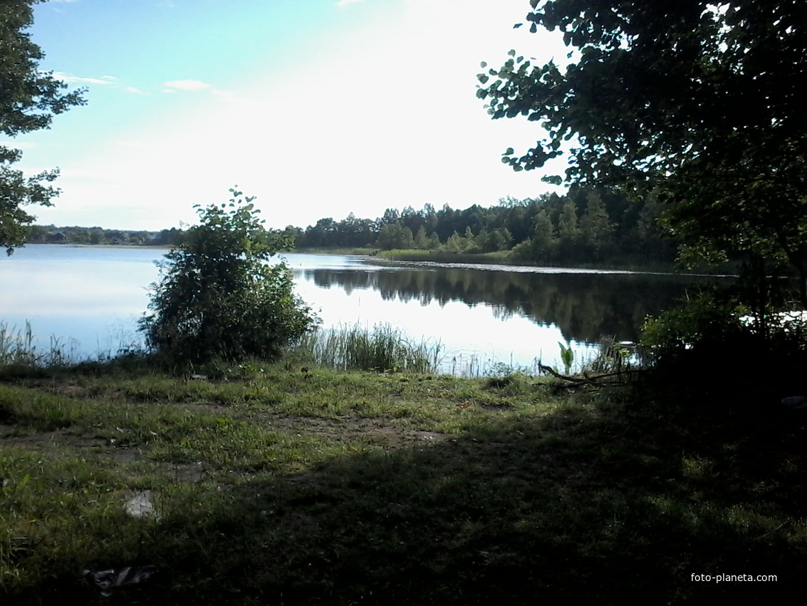 Озеро в лесу. Д.Зашишевье