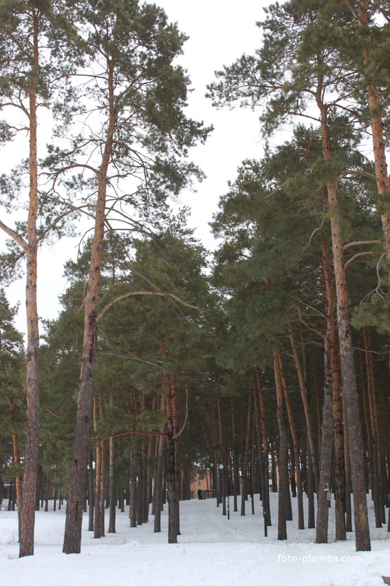 Шебекино. В парке.