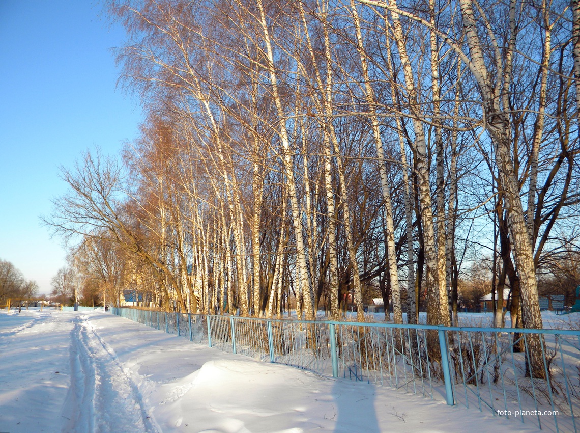 Облик села Радьковка