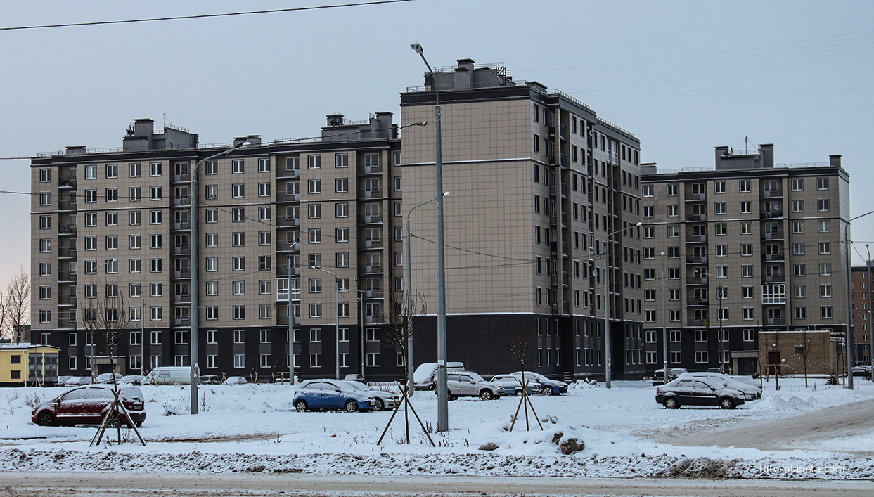 Дом на улице Полоцкой