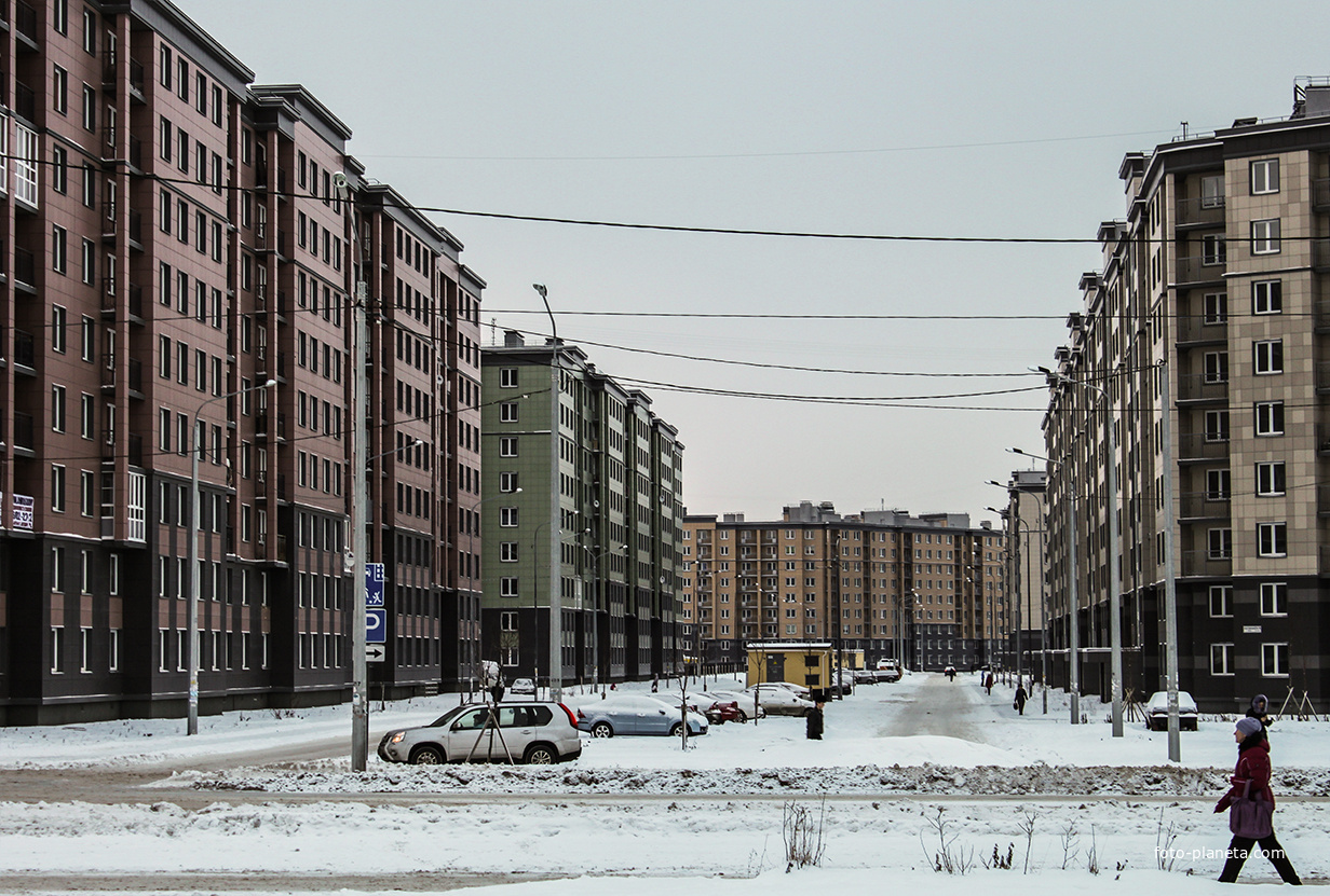 Улица Полоцкая