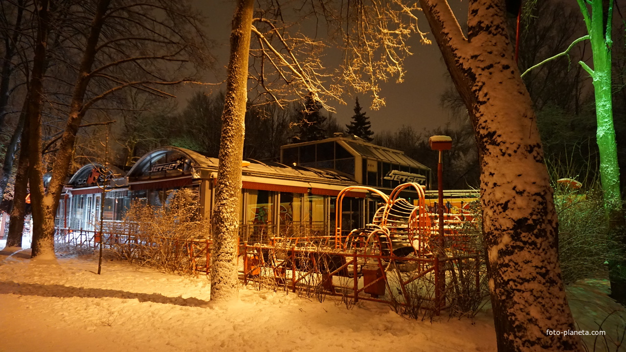 Приморский парк Победы.