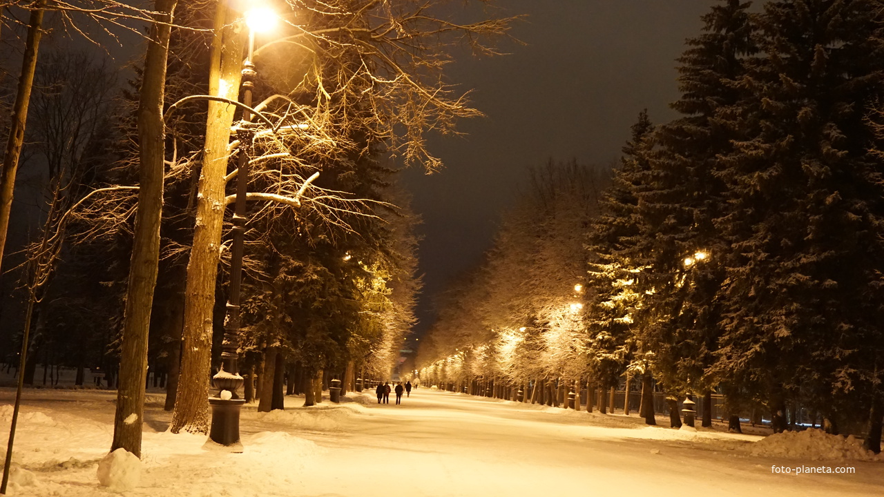 Приморский парк Победы.