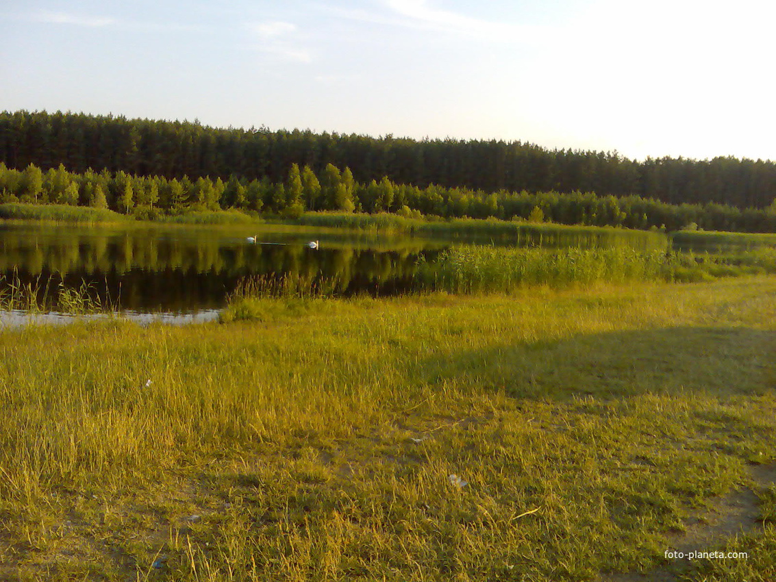 Живописное озеро д.Пески-д.Клепачи