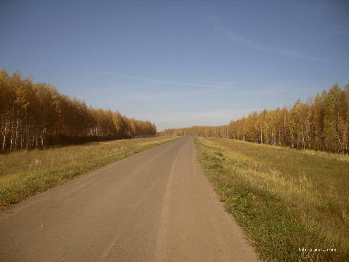 Дорога до деревни