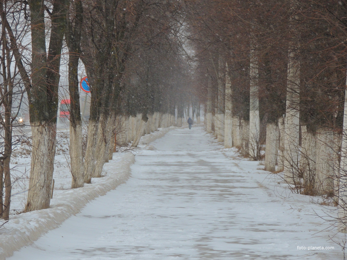 Улица Академика Белова