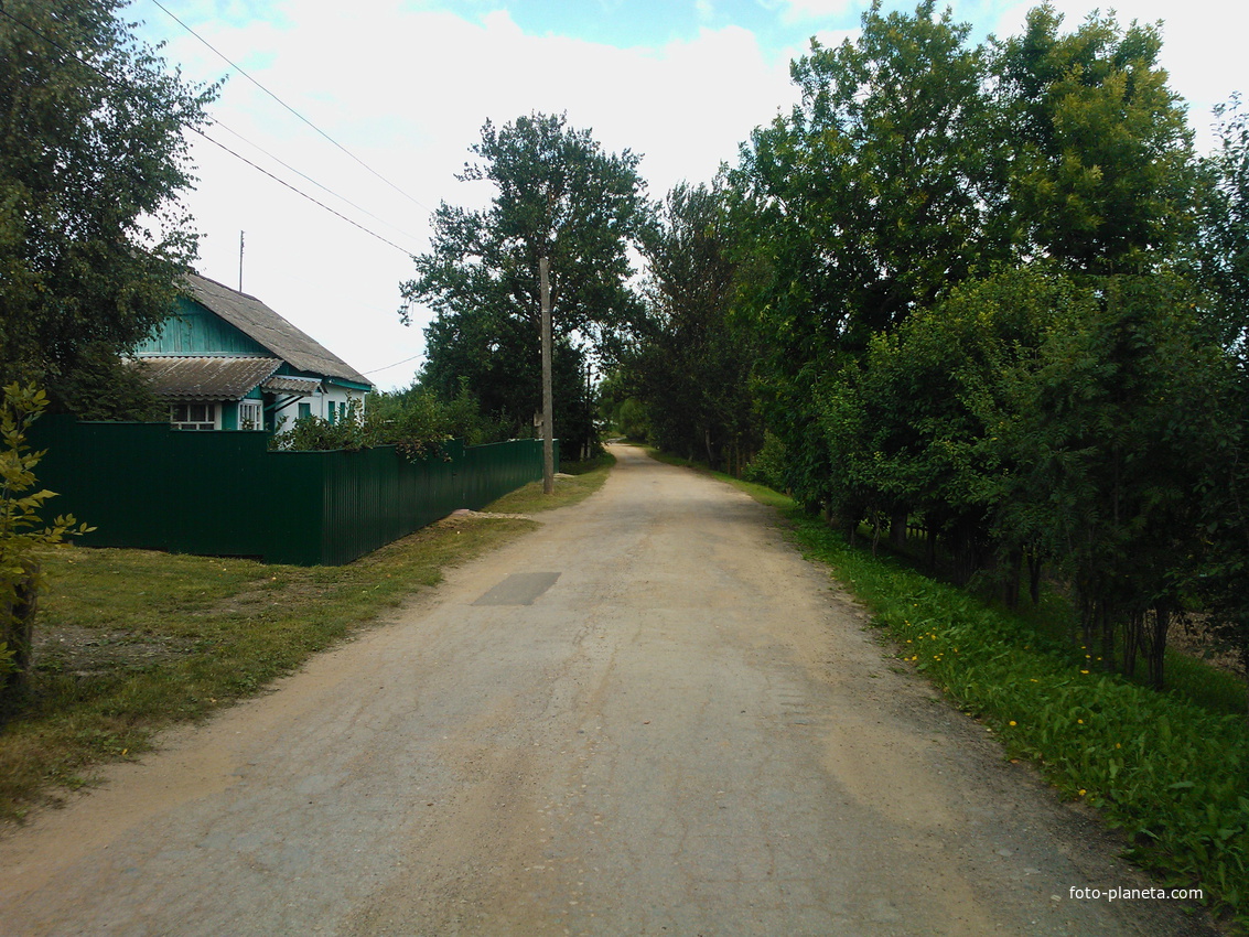 вежи, улица, 2013 год.