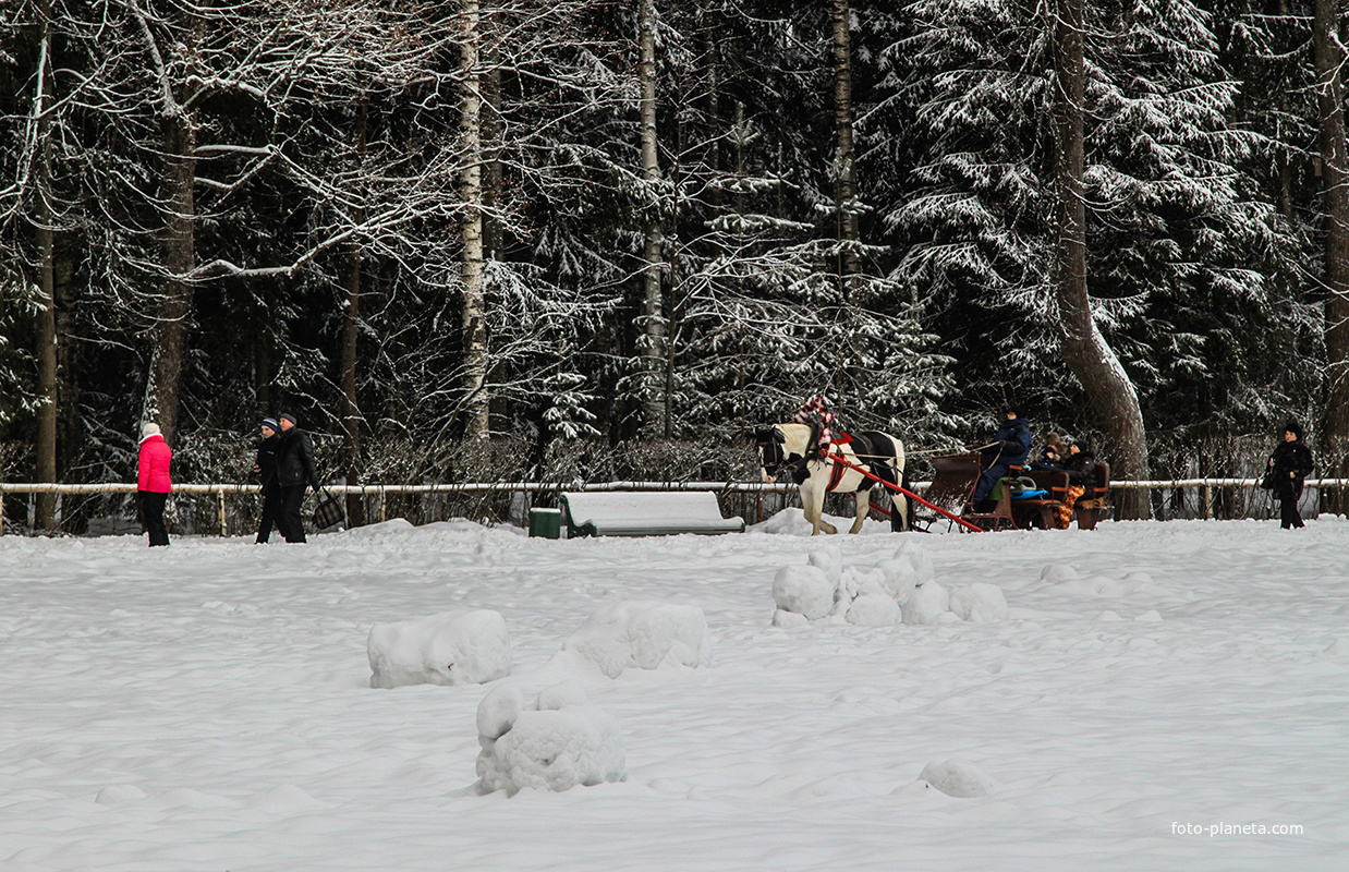 В Павловском парке