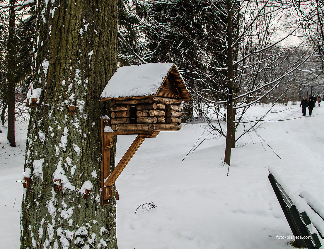 В Павловском парке