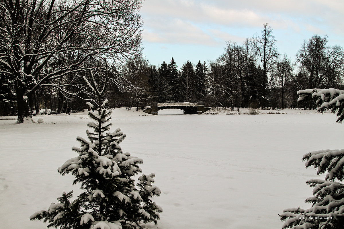 Верхний Розовопавильонный пруд