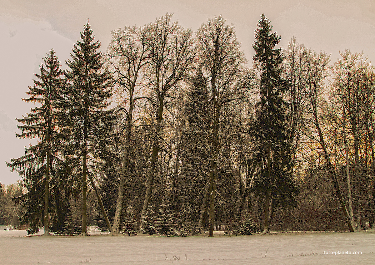 Павловский парк