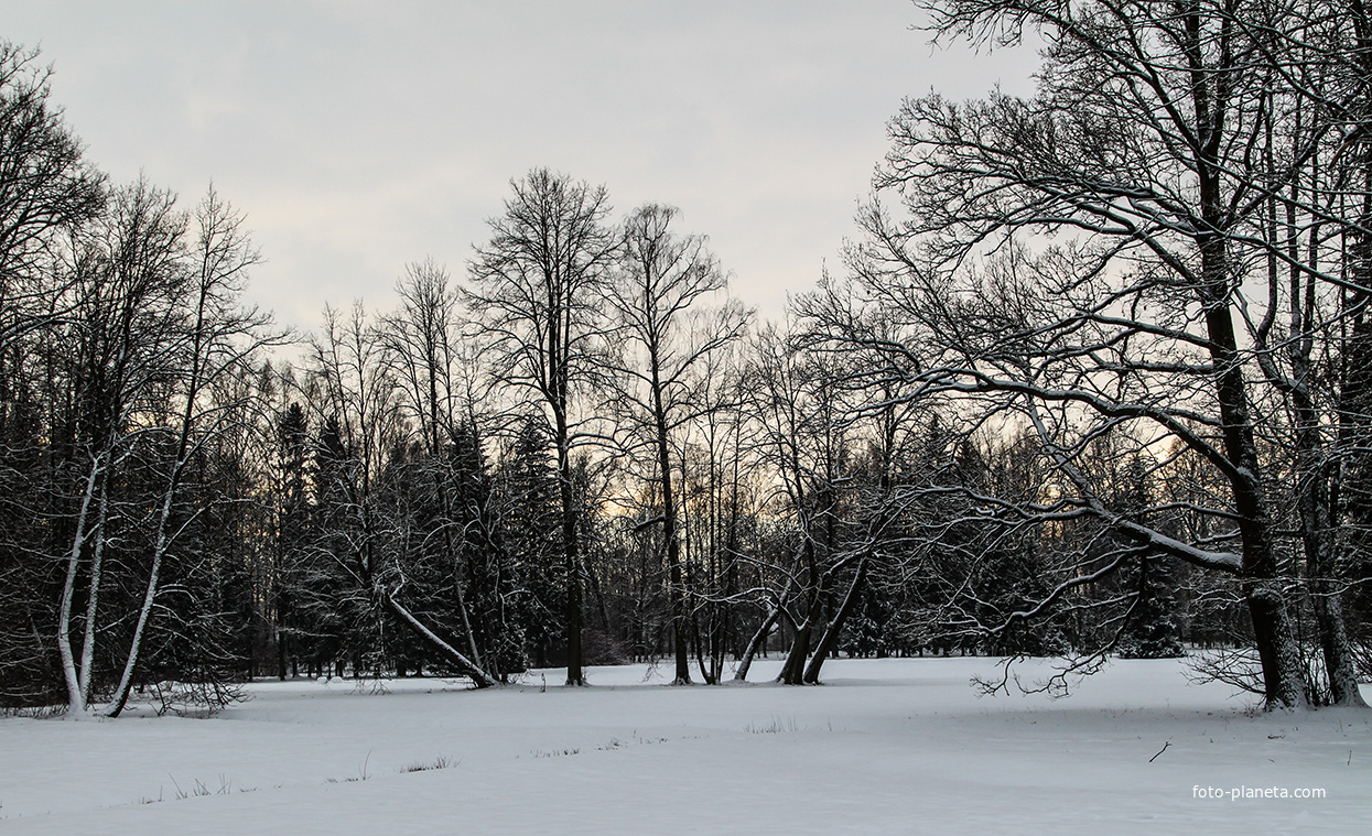 Павловский парк