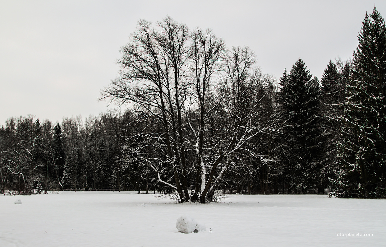 Павловский парк