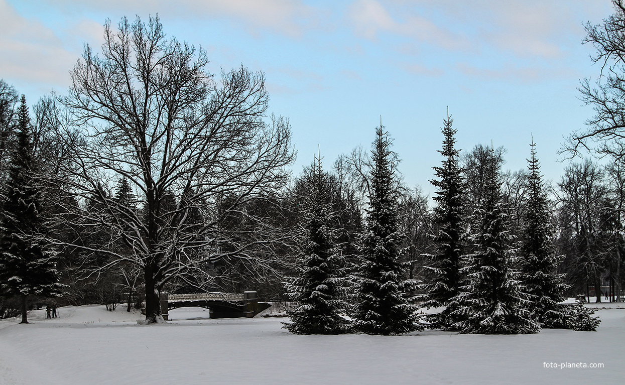 Павловский парк