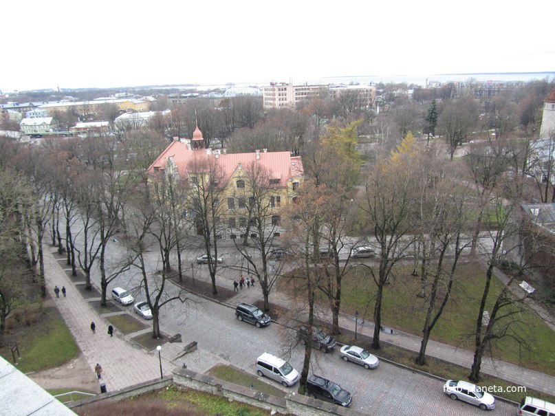 Таллинн, Вид со смотровой площадки
