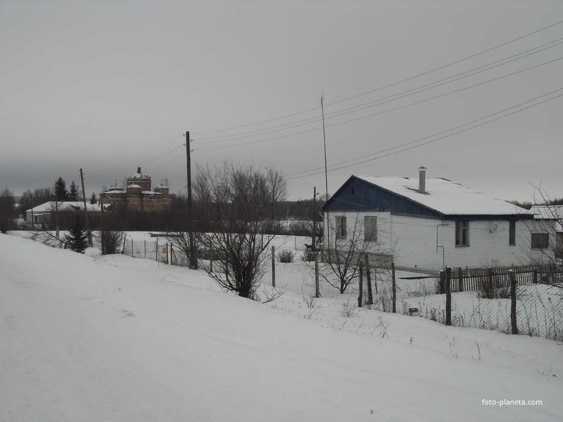 Алексеевка. Вид с дороге. январь 2015
