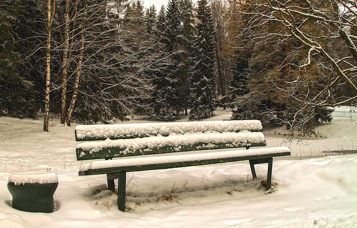 В Павловском парке