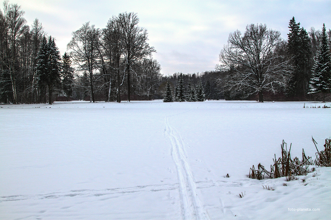 Павловский парк