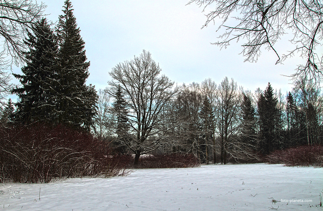 Павловский парк