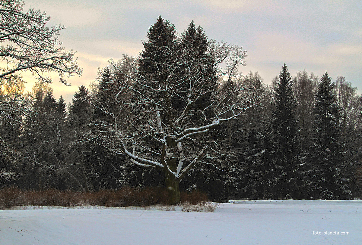 Павловский парк