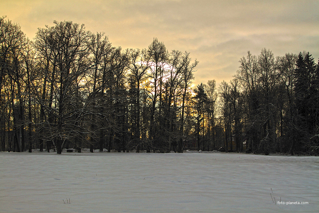 Павловский парк