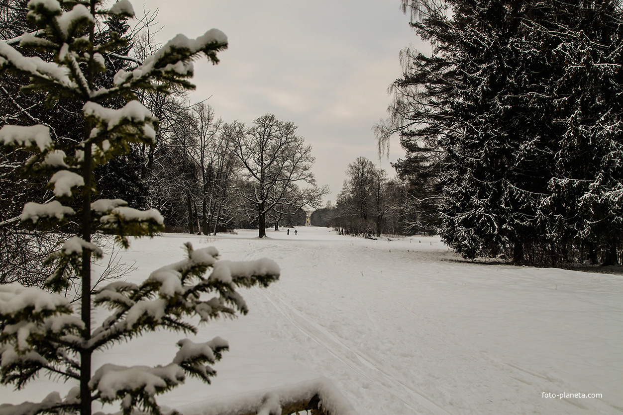 Павловский парк