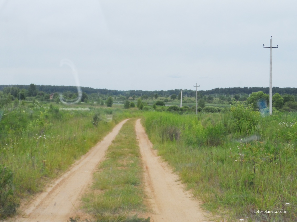 Якимовская, после леса за деревней, дорога к реке Жабня
