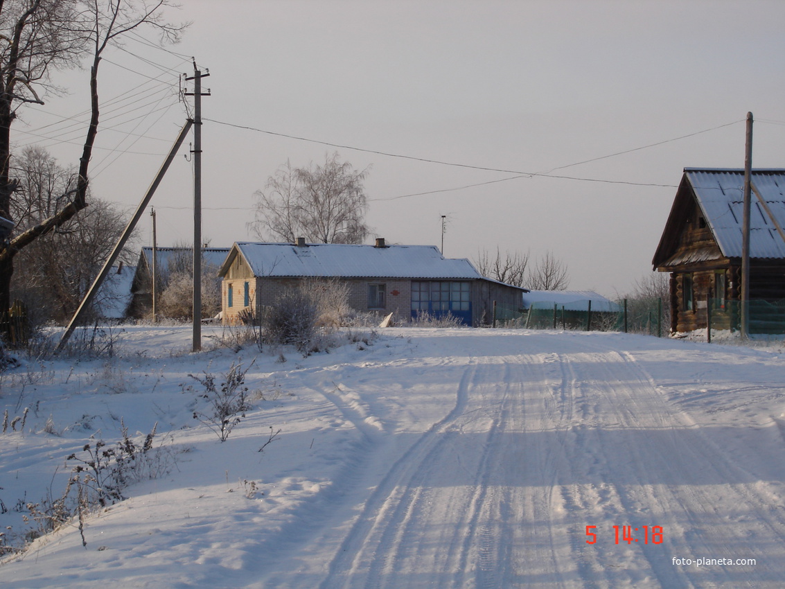Деревня Малая Витонь