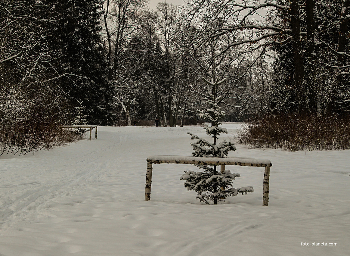 Павловский парк