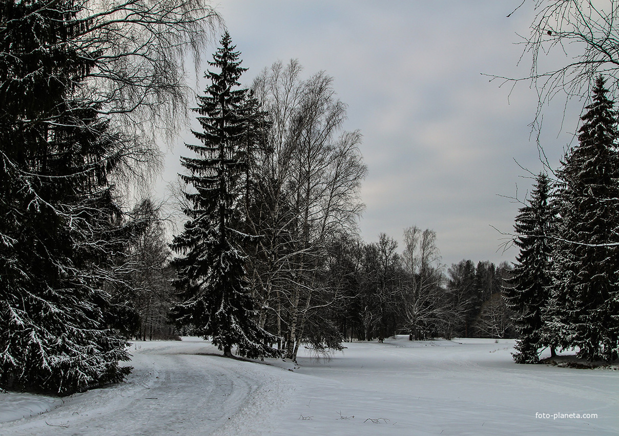 Павловский парк