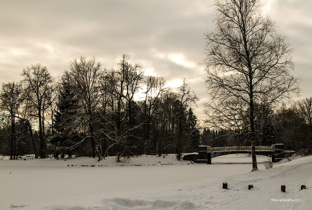 Средний Розовопавильонный пруд