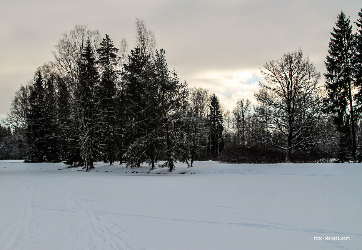 Средний Розовопавильонный пруд