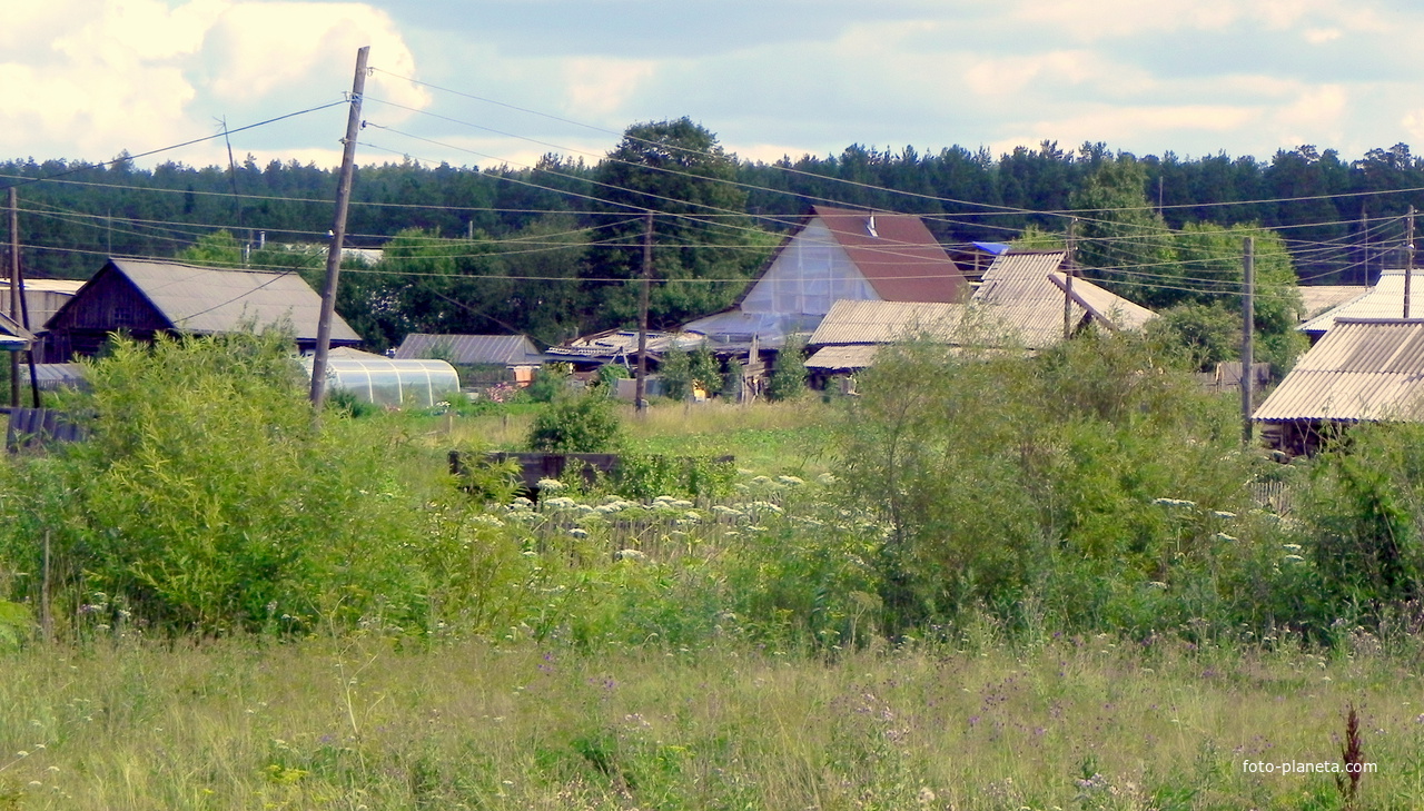 Вид от дома Марины Пушкиной.