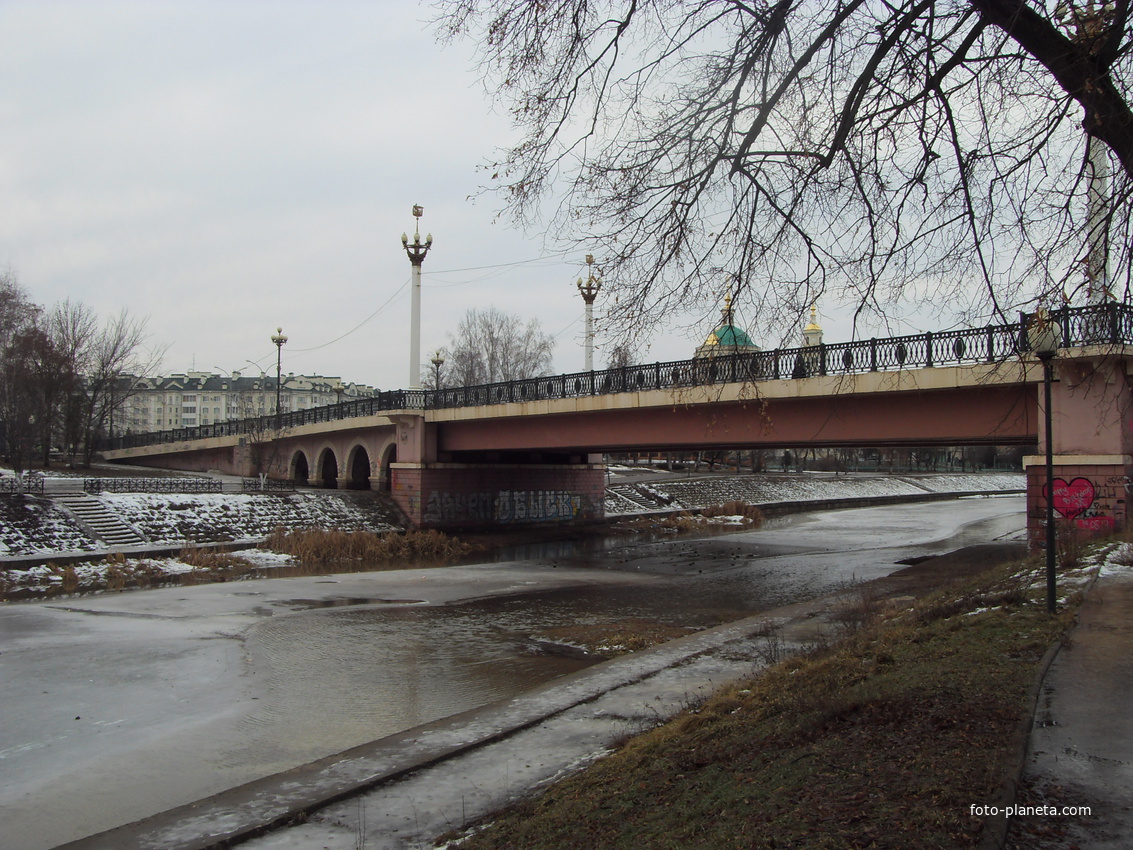 Орёл. Александровский мост февраль 2015