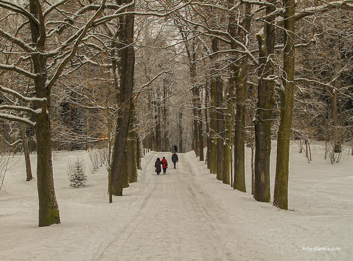 Аллея в парке
