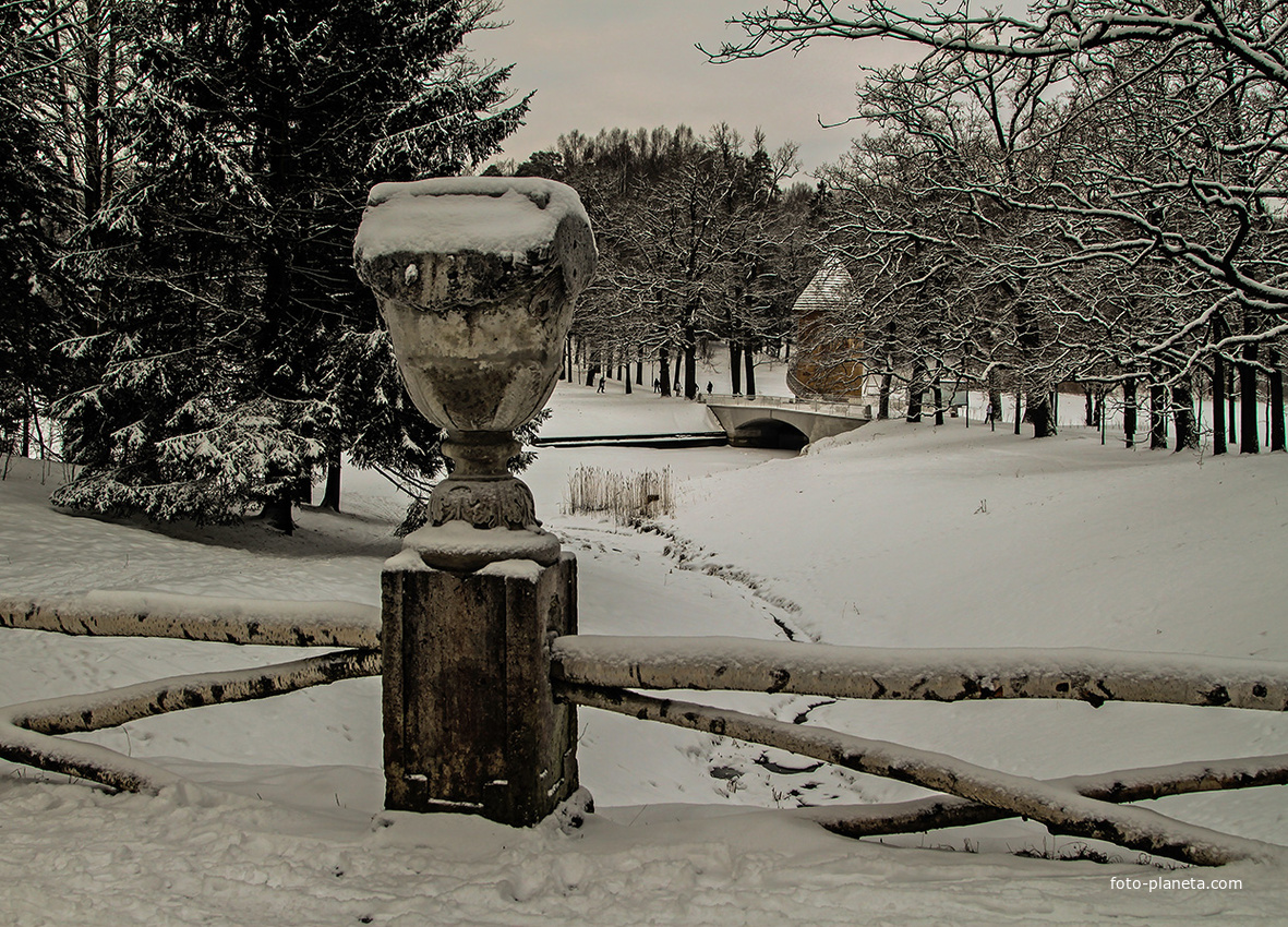 В Павловском парке
