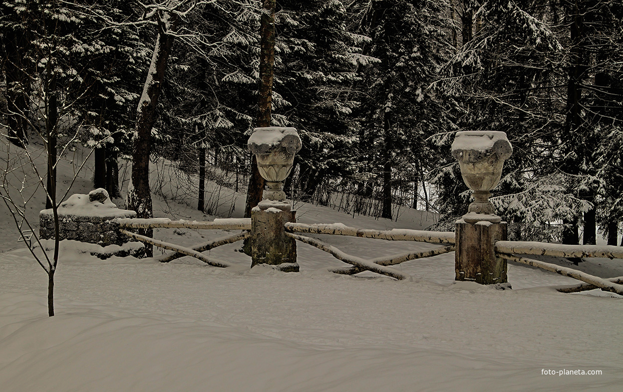 В Павловском парке