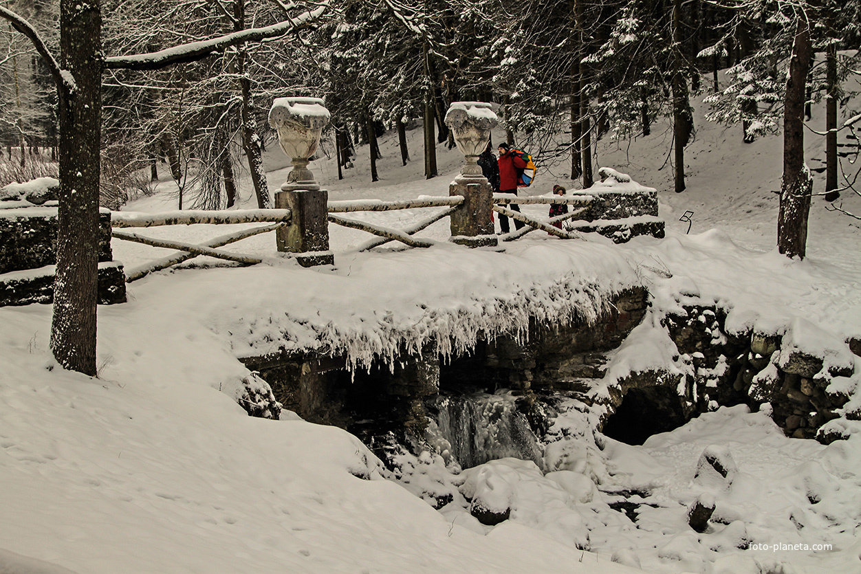 В Павловском парке